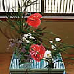 Ikebana (Flower Arrangement)